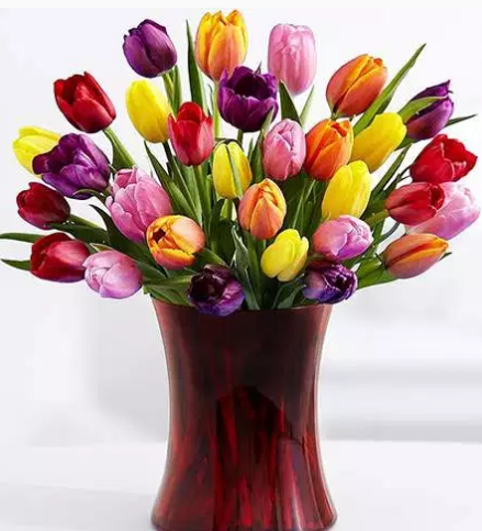 Renkli Sevgililer Günü Çiçeği