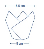 tülip 2.görsel.jpg (7 KB)